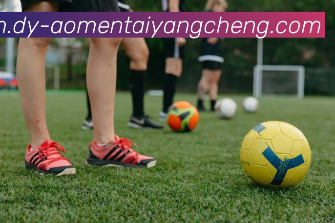 澳门太阳城网站平台生态图